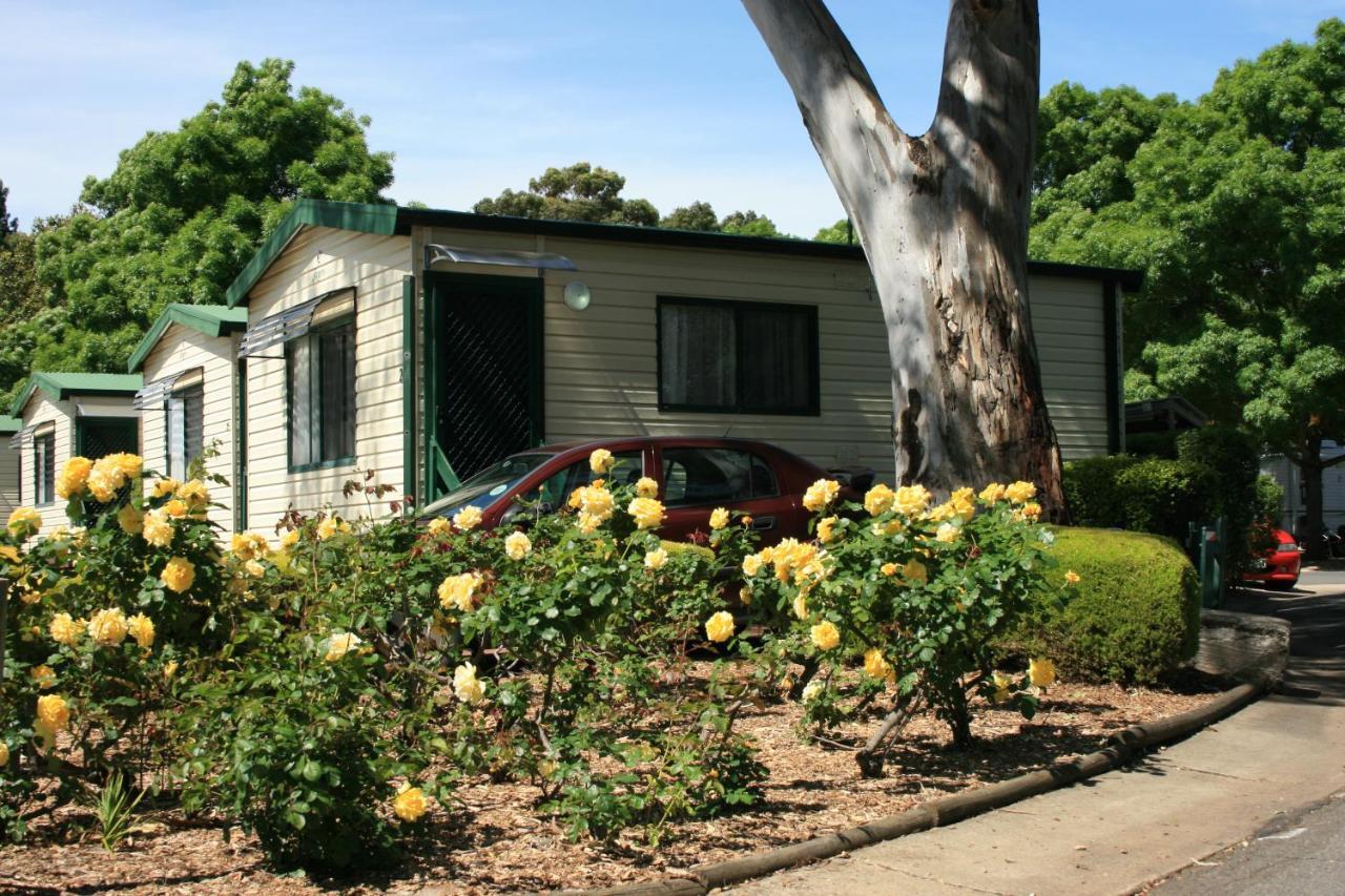 Levi Adelaide Holiday Park Kültér fotó